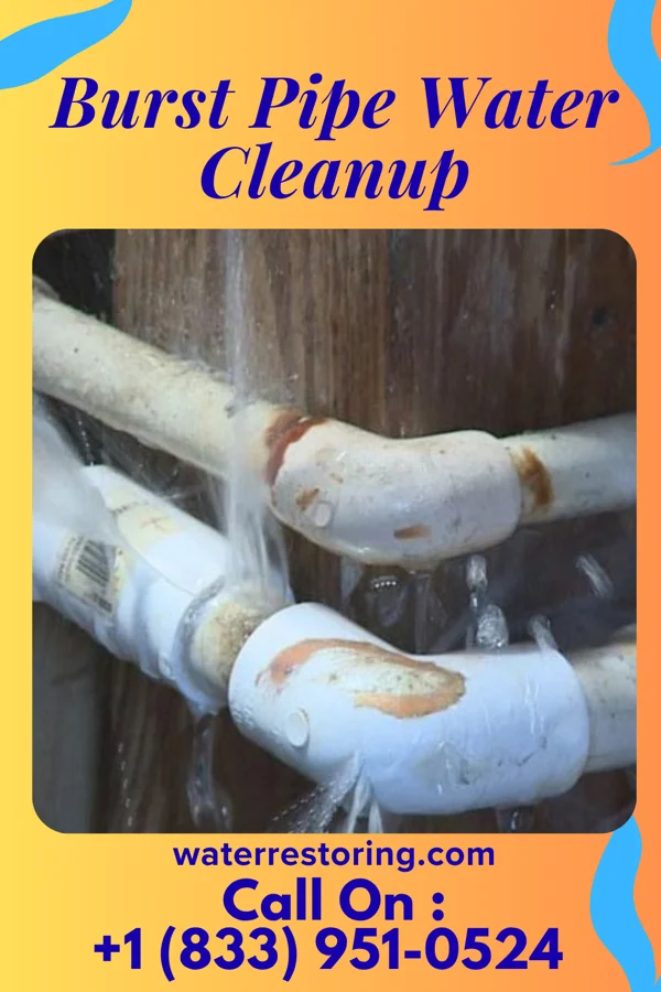 Burst Pipe Water Cleanup in Iron Horse, CA