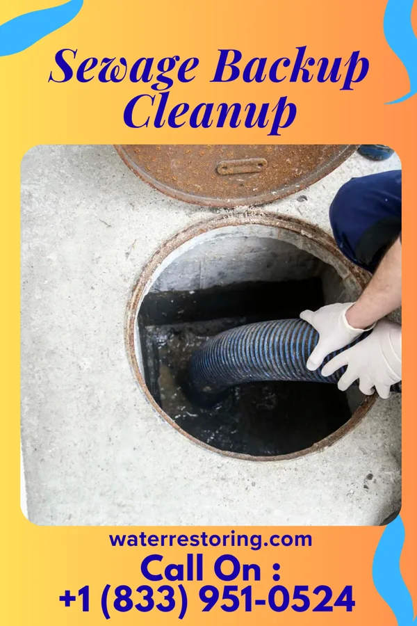 Sewage Backup Cleanup in Iron Horse, CA